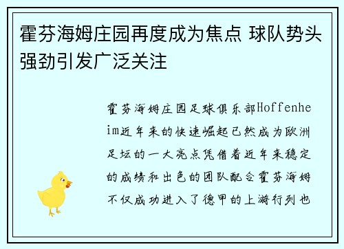 霍芬海姆庄园再度成为焦点 球队势头强劲引发广泛关注