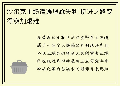 沙尔克主场遭遇尴尬失利 挺进之路变得愈加艰难